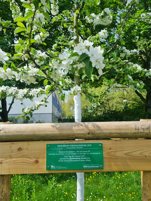 Grüner Baum mit Plakette