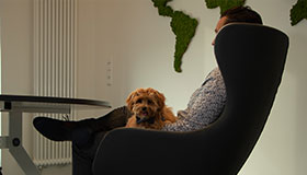 CEO Frank Niemann and Chewy in the office