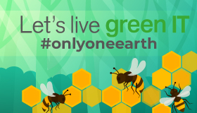 Schriftzug mit grünem Hintergrund und Bienen auf Waben
